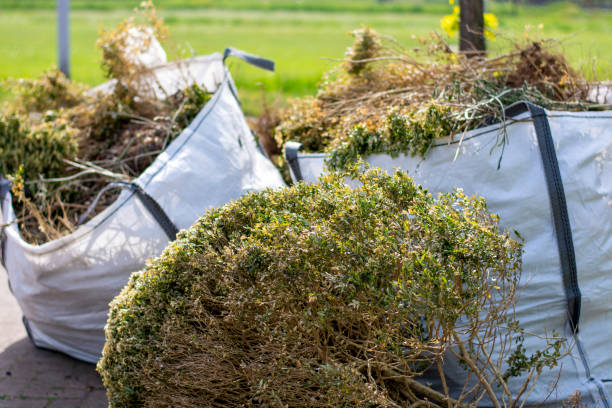 Basement Cleanout Services in Auburn, IN